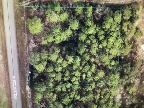 Residential Land in Ocala, FL