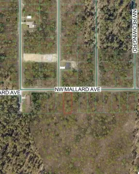 Wooded Lot in Dunnellon, FL