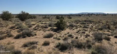 40 Acres in Snowflake, AZ