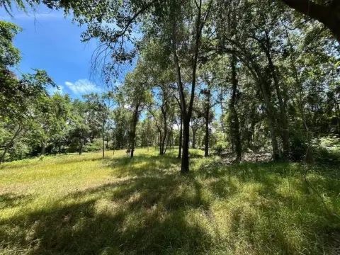 Waterfront Lot on Lake Palestine