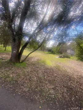 Vacant Corner Lot in Nice