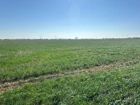 Ranch Land with Livestock Improvements