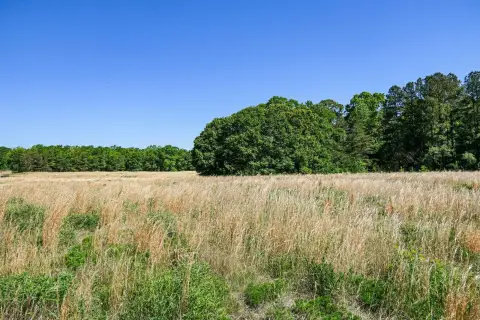 Gaffney Homesite with Acreage