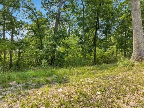 Residential Lot in Missouri Bluffs