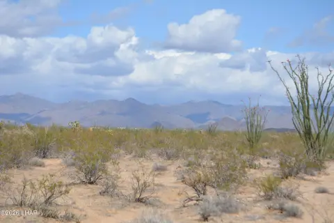 Desert Land with Mountain Views