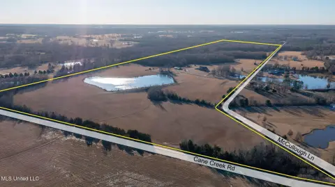 Land in Flora, Mississippi