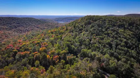 Farmington Vacant Land with Lodge