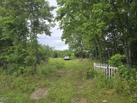 Acreage with Mature Trees