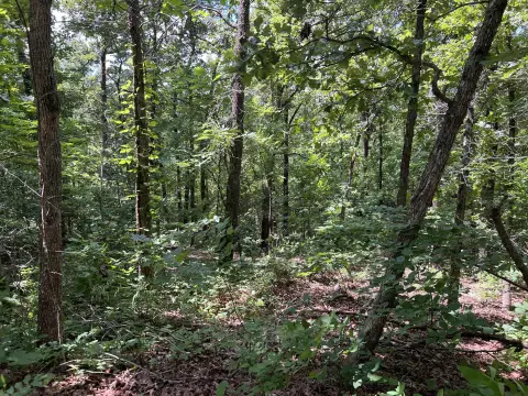 Wooded Recreational Land Retreat