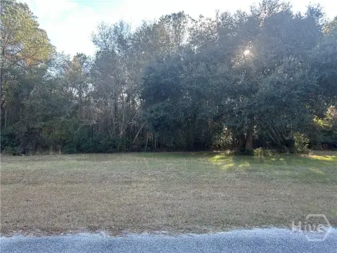 Residential Land in Guyton, GA