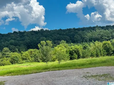 A1-Zoned Land
