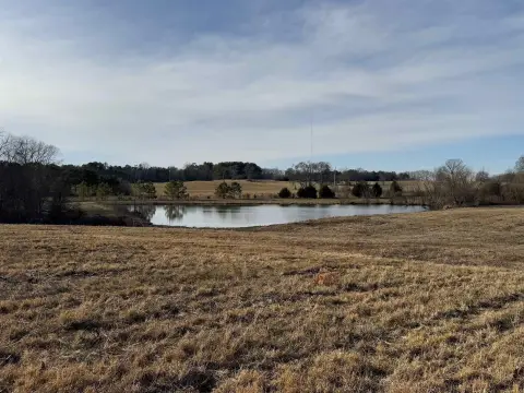 Rogersville Acreage with Pond