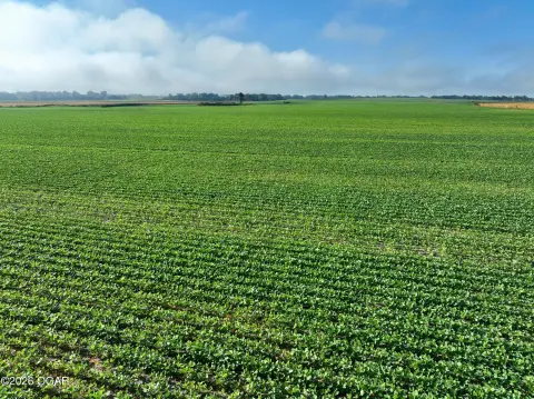 Productive Agricultural Farm