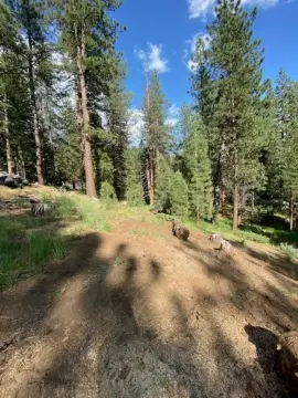 Land For Sale in Portola