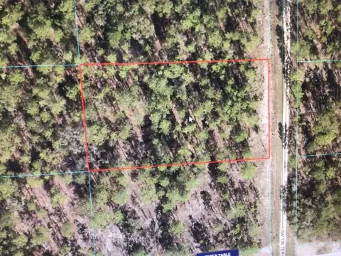 Residential Land in Dunnellon, FL