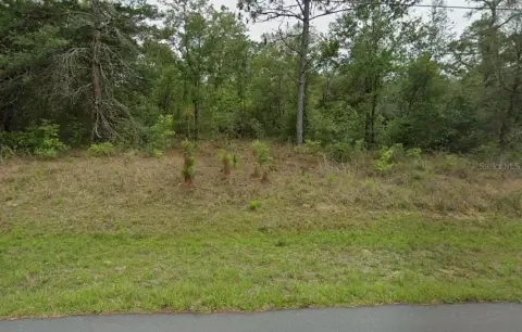 Residential Land in Citrus Springs