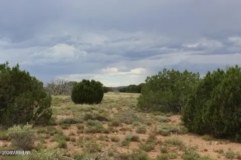 Treed Recreation Land