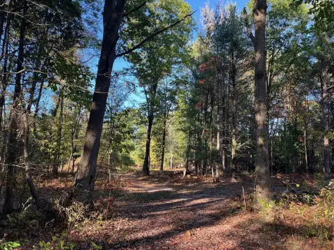 Wooded Land Parcel in Grand Haven