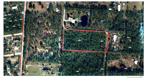 Treed Agricultural Land