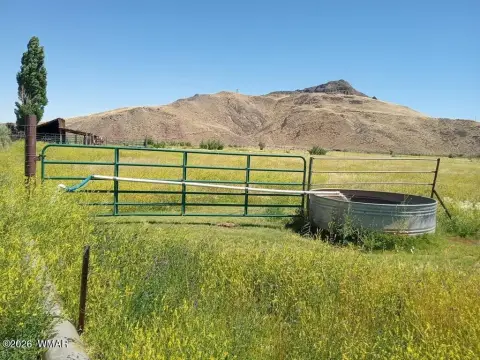 Irrigated Farmland