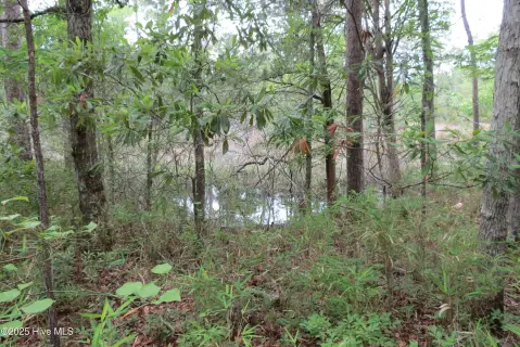 Homesite in Amenitized Neighborhood