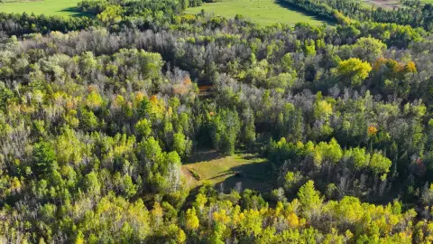 200+ Acre Hunting Land Near Ashland