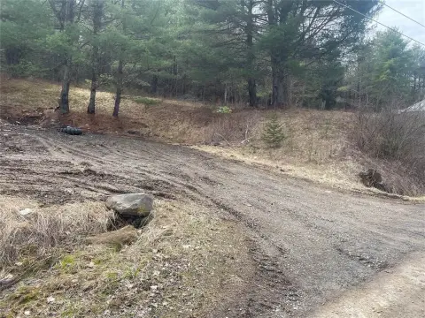 Residential Land in Endicott, NY