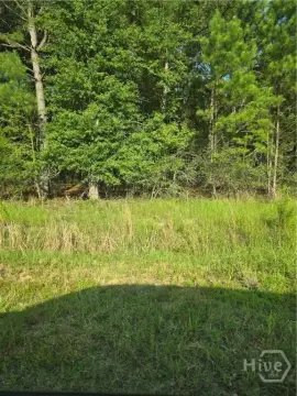 Bluffton Land For Sale