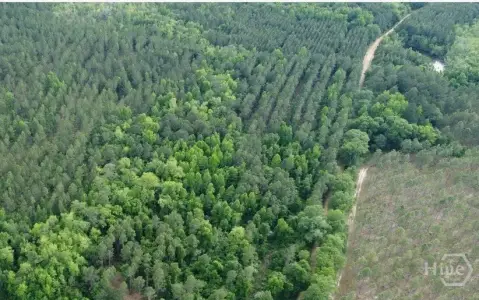 8 Acres Near Highway 16