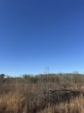 Hackleburg Vacant Land For Sale