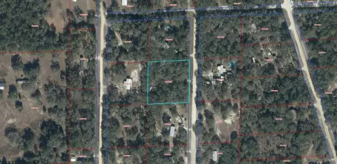 Levy County Acreage For Sale