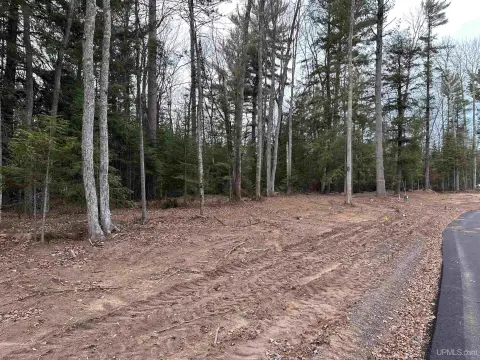Residential Land in Marquette