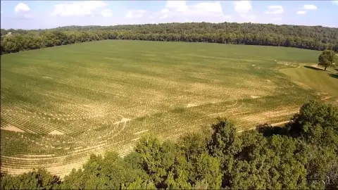Agricultural Land with Creek Access