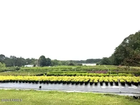 Nursery Property with Greenhouses