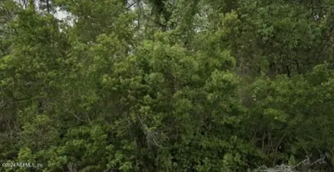 Crescent City Land Near Lake