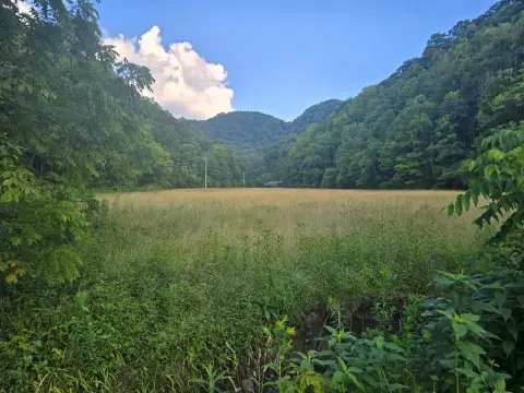 81.4 Acres in North Tazewell