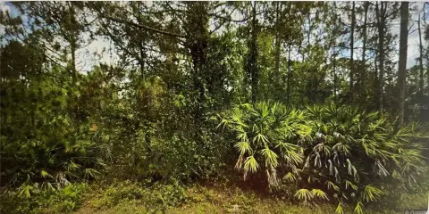 Half-Acre Lot in Lehigh Acres