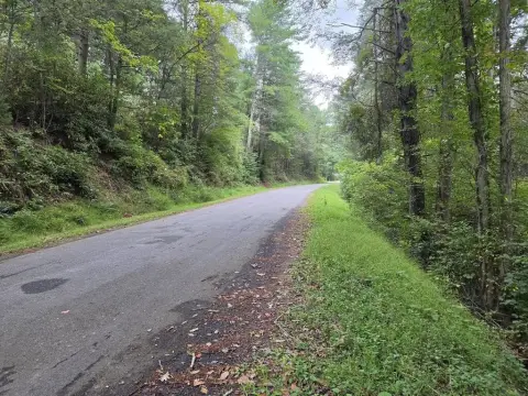 Wooded Residential Land