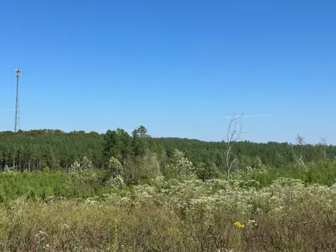 Waterfront Recreational Land with Lake Access