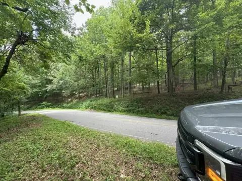 Residential Lot in Columbus, NC