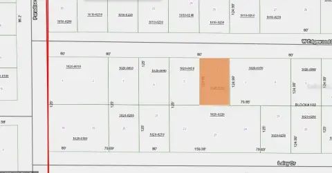 Lake George Access Land