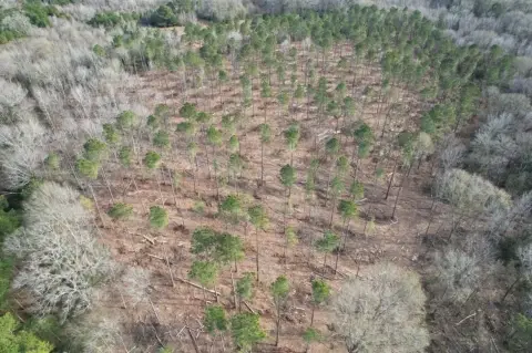 19 Acres of Recreational Land