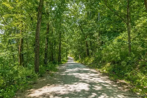 Heavily Wooded Recreational Land Tract