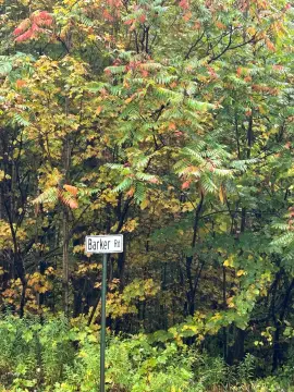 28 Acres of Vacant Land