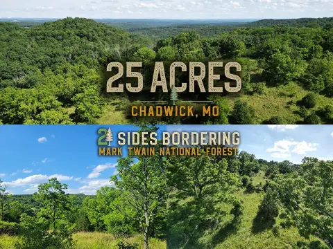 Recreational Hunting Land Parcel