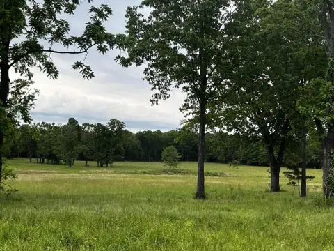 Open Pasture Tract with Ponds
