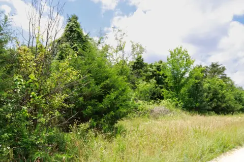 Cleared Building Site Adjacent to Forest