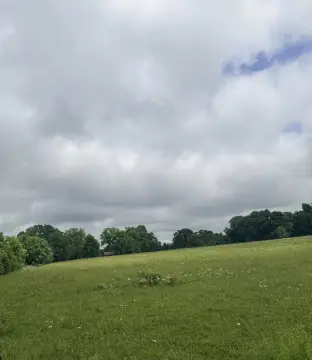 Farm Land with Highway Frontage