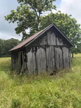 Agricultural Land with Pasture & Timber