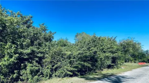 Unique Half-Acre Land Parcel